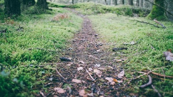 Trade Winds Shift: Navigating the Recent Changes in US Import Policies