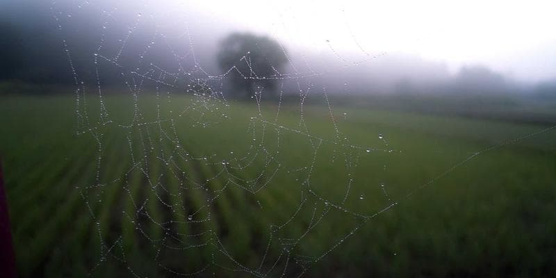 Navigating the New Era: Recent Developments in US Importing and Sourcing (2024-2025)