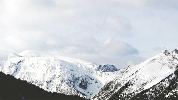 Unpacking the 2025 Shift in U.S. Import Regulations: Implications for Businesses