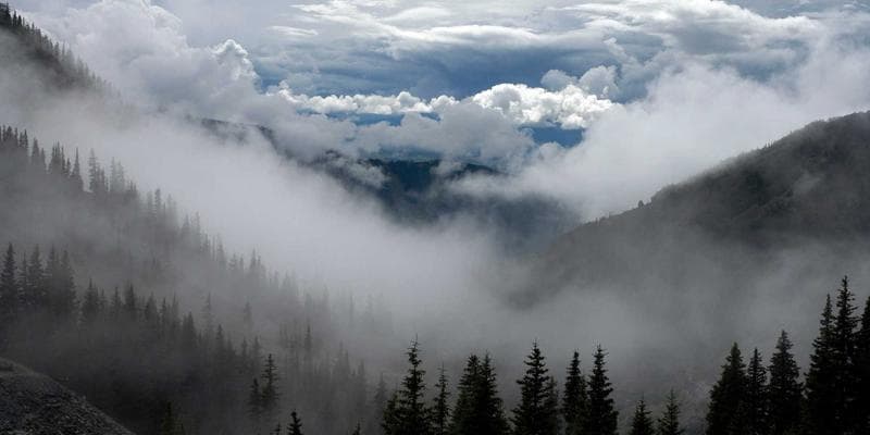 Navigating the New Normal: The Impacts of Recent Tariff Changes on U.S. Importing