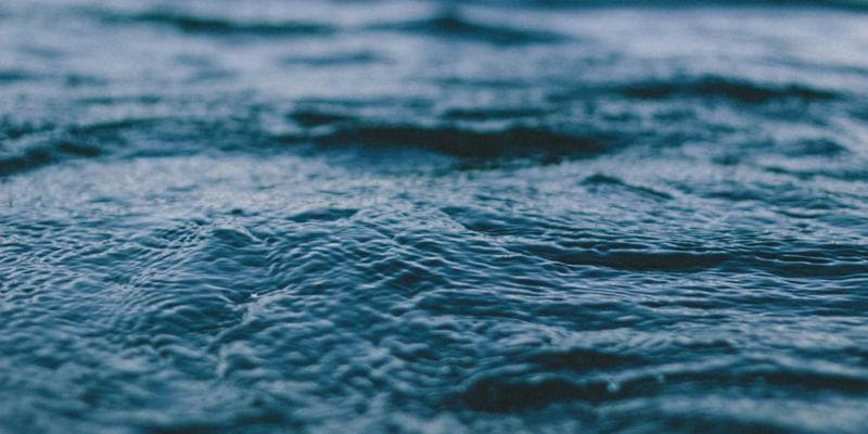 Adapting to Recent U.S. Customs Compliance and Regulatory Changes in 2026