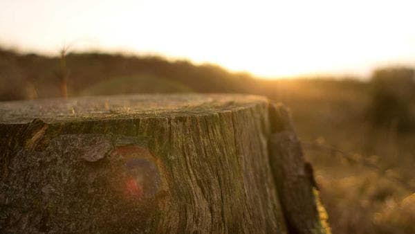 Navigating the New Wave: Recent Changes in U.S. Tariff Policies (2024-2025)