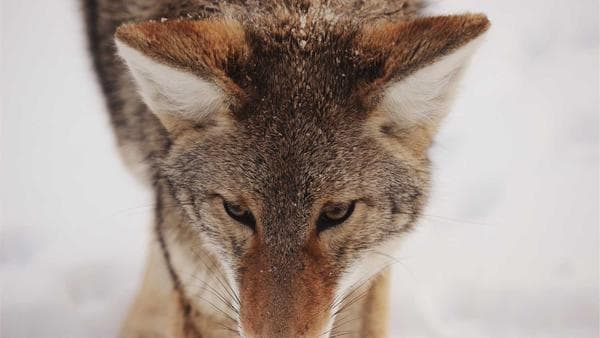 Emerging Trends in Sourcing and Importing to the United States Amidst New Trade Policies