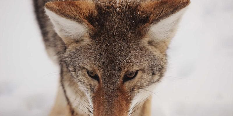 Emerging Trends in Sourcing and Importing to the United States Amidst New Trade Policies