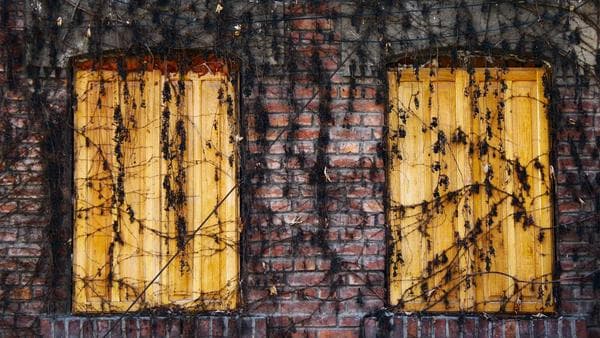 Unpacking the 2025 Trade Policy Changes: Implications for Sourcing and Importing to the United States