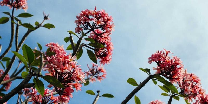 Addressing Port Congestion and Shipping Delays: Recent Developments in U.S. Import Logistics