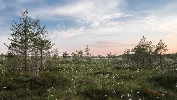 Emerging Sourcing Trends and Their Impacts on Importing to the United States