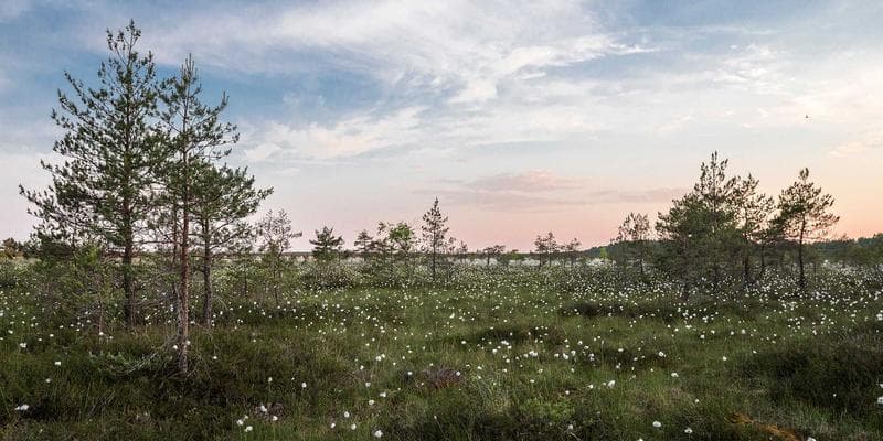 Emerging Sourcing Trends and Their Impacts on Importing to the United States