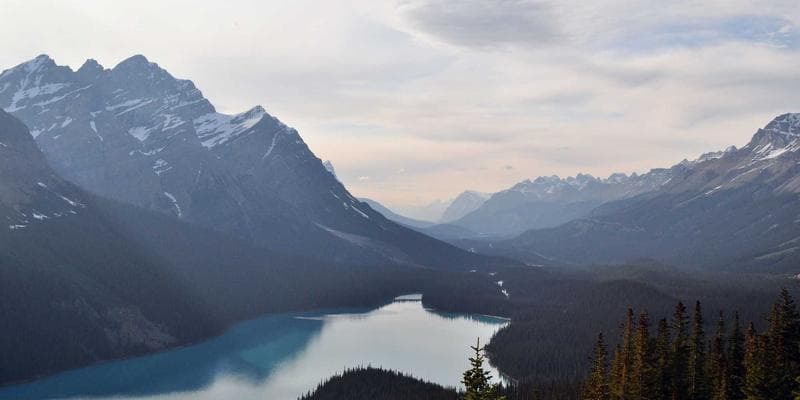 Trade Winds Shift: The Impact of Recent Tariff Changes on US Sourcing and Importing