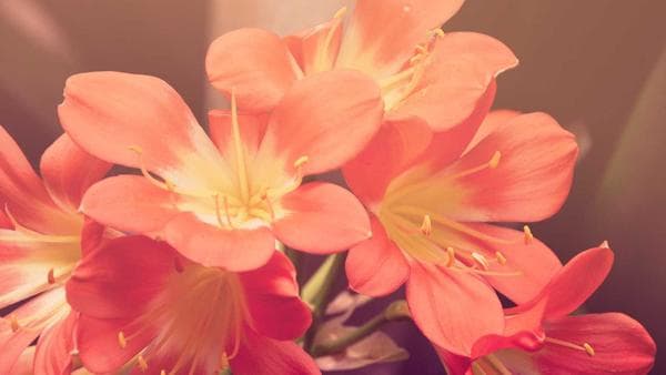 Emerging Trends in Sourcing and Importing to the United States: A 2025 Perspective