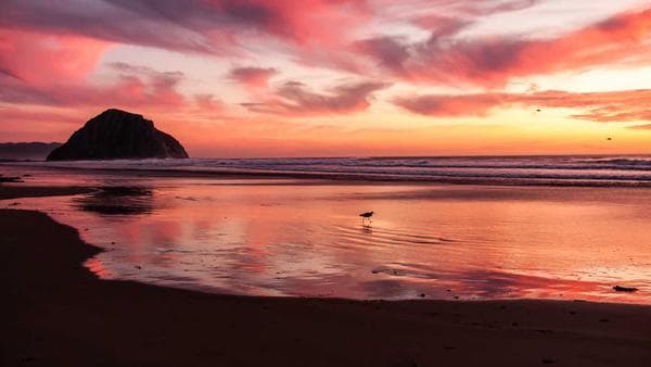 Revolutionizing US Imports: How AI, Blockchain, and Visibility Tools Are Transforming Supply Chains