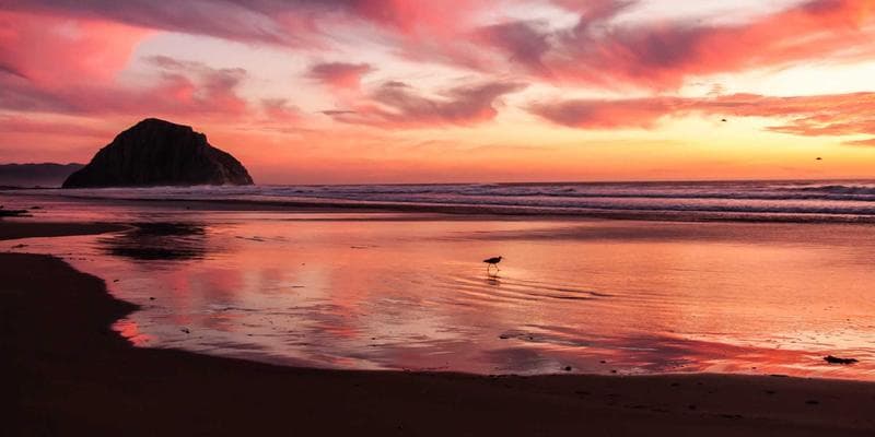 Revolutionizing US Imports: How AI, Blockchain, and Visibility Tools Are Transforming Supply Chains