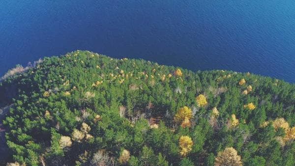 Exploring Recent Developments in Sourcing and Importing to the United States