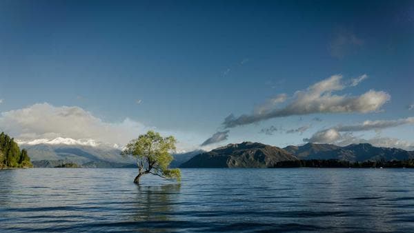 Redefining Supply Chains: How the Electronics Industry is Adapting to New Sourcing Challenges in 2026