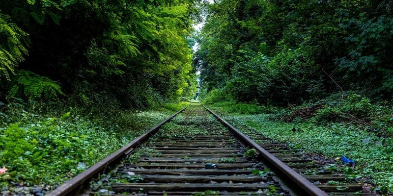 The Impact of 2025's Tariff Shifts on US Importing